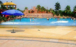 人工造浪設備 技術與應用的全面解析